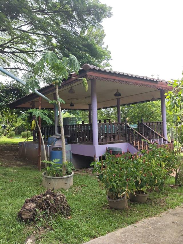 บ้านเหวปลากั้งพร้อมอยู่ ถนนผ่านผ่านศึก กุดคล้า 2-3-86ไร่ วิวเขาใหญ่ อากาศดีสุด เดินทางสะดวก 3