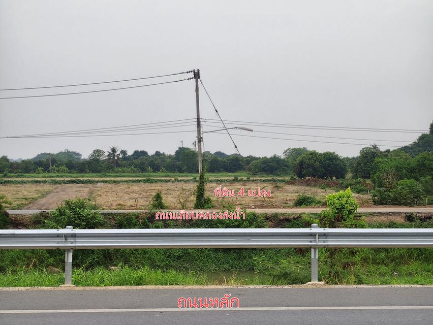 ประกาศขายที่ดิน อ่างทอง แบ่งขาย 4 แปลง 9