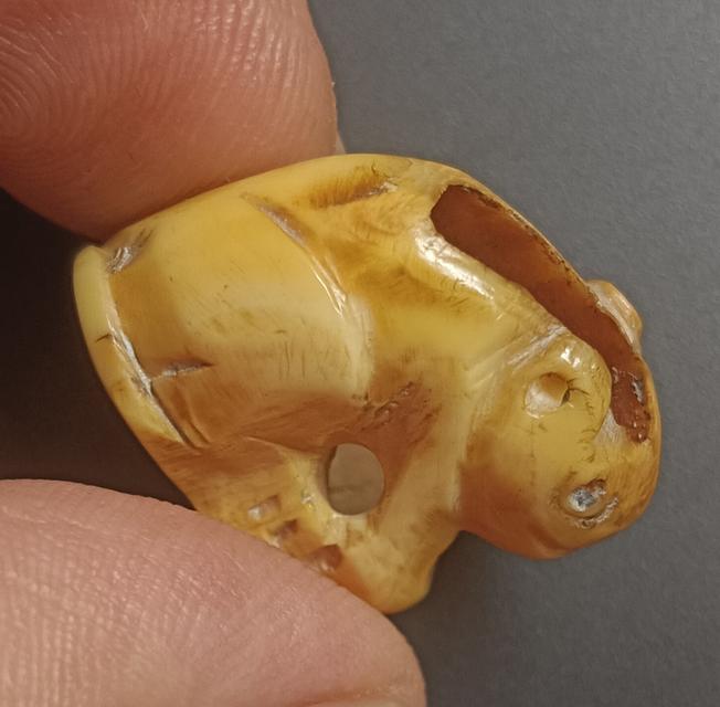 เสือหลวงพ่อปาน วัดบางเหี้ย 6