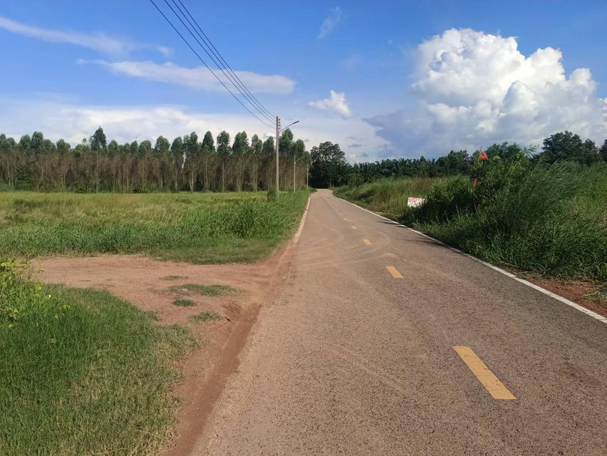 ขายที่ดินนนทรี 2 ไร่ ติดถนนลาดยางใกล้ถนนสุวรรณศร33-4กม. อ.กบินทร์บุรี ปราจีนบุรี 2