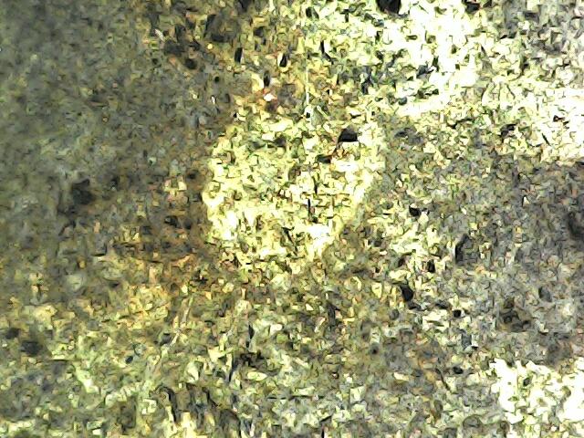 พระหลวงปู่ทวดหลังเตารีด 9