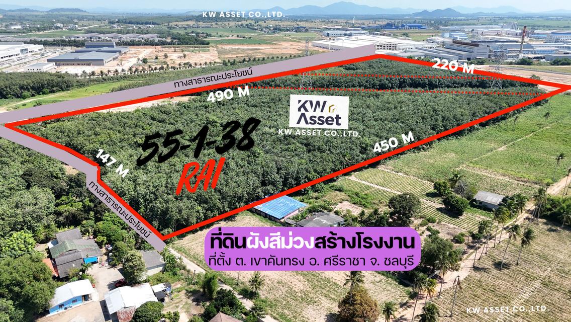 ขายที่ดินสร้างโรงงาน 55-1-38 ไร่ ผังสีม่วงลาย ชลบุรี 1