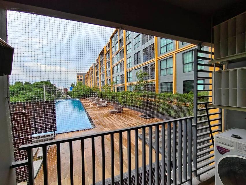คอน โด The Excel คูคต ขาย เช่า ห้องใหญ่ 35 ตรม  3