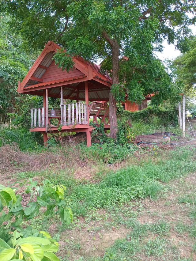บ้านทรงไทยๆ2ชั้น ติดแม่น้ำ 10