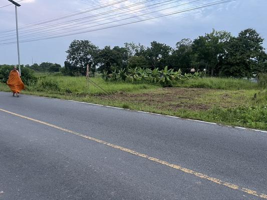 ขายที่ดิน 98 ตารางวา มีโฉนด ต.พรหมณี ติดถนนหลวง วิวเขาชัด ใกล้ รร.จปร. 9