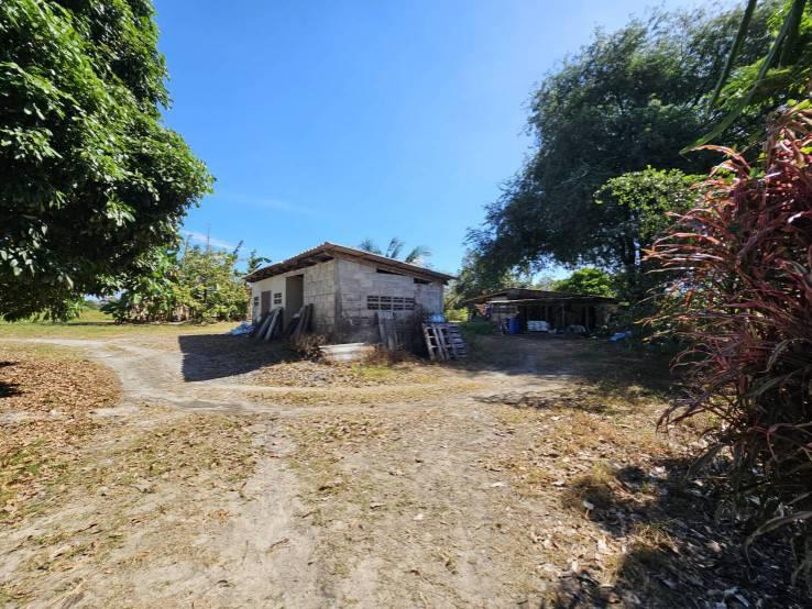 ขายสวนผลไม้ อำเภอขลุง  จันทบุรี พร้อมให้ผลผลิต 10