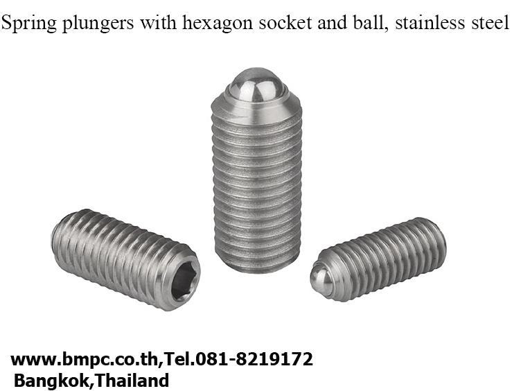 Ball plunger, Socket spring plunger, Index plunger, press fit plunger, Amecoil, thread repair tool, Schnorr, Cup spring รูปย่อยที่ 3
