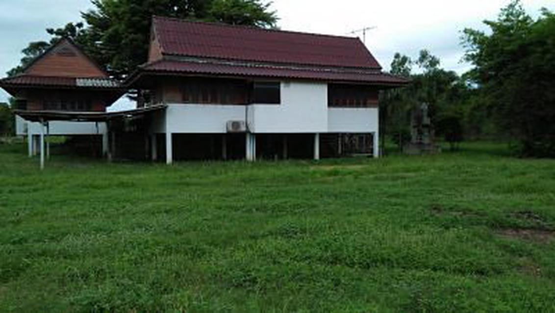 Sale Large Land plus nice House Suburban of Kanchaburi with  5