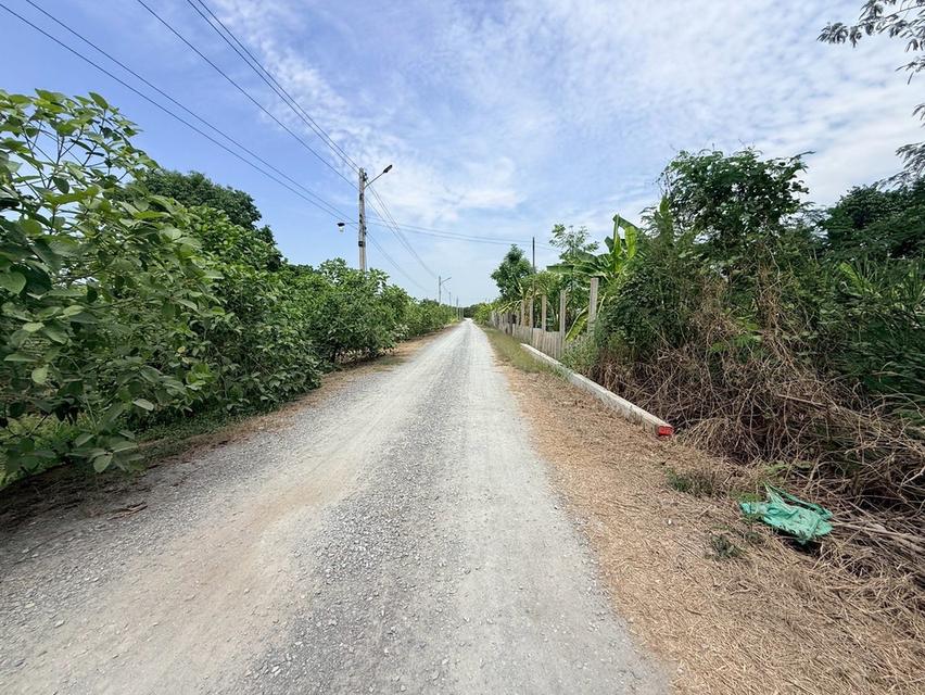 ขายด่วนที่ดิน 800 ตรว ติดถนนสาธารณะ ซ.อารีย์ หมู่ 6 ถนนเทศบาล 5 ลาดหลุมแก้ว ปทุมธานี 9