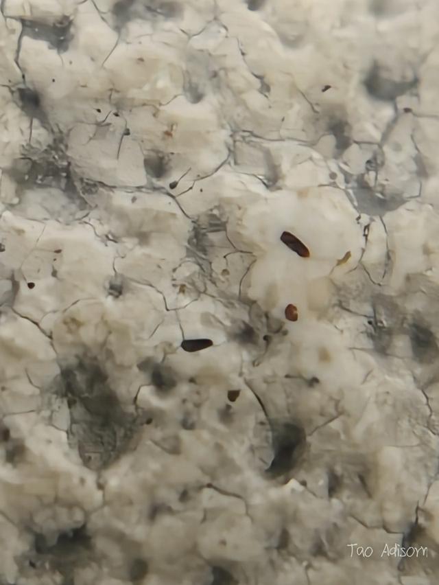 พระสมเด็จวัดระฆังโฆสิตาราม 14