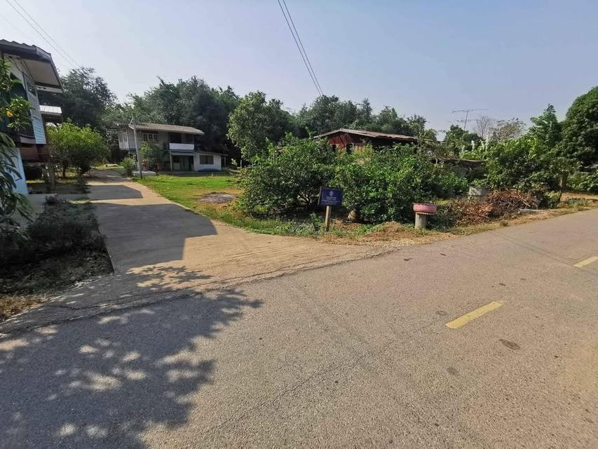 ที่ดินเปล่าติดแม่น้ำเจ้าพระยา 2 โฉนด พิกัด บ้านหัวแหลม หมู่ 1 ต.หาดทนง อ.เมืองอุทัยธานี จ.อุทัยธานี 6