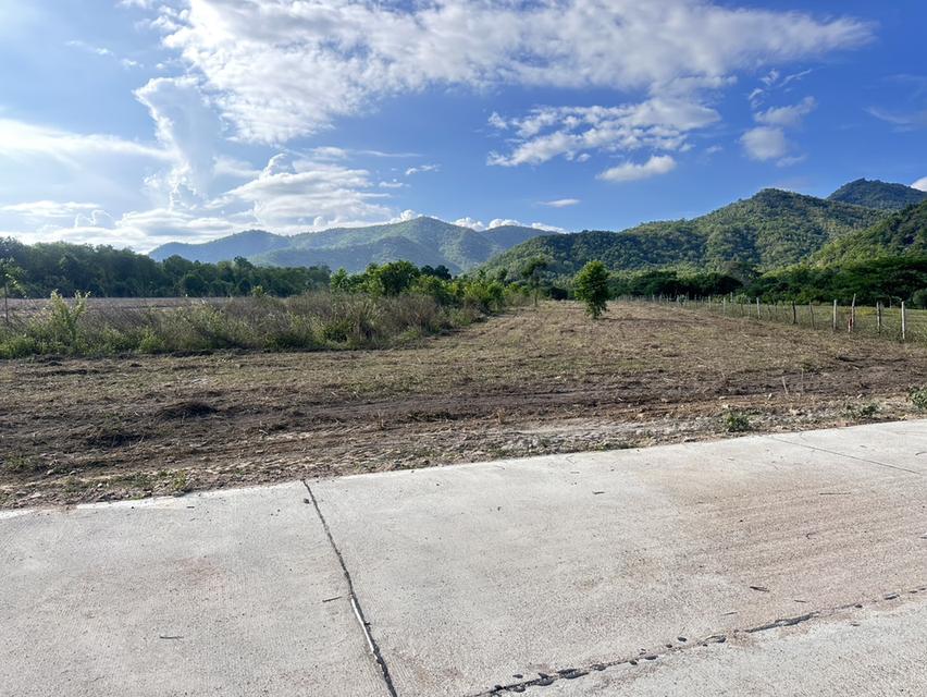 ที่ดิน พุหวาย ชะอำ จ เพชรบุรี ขนาด 6.375 ไร่  7