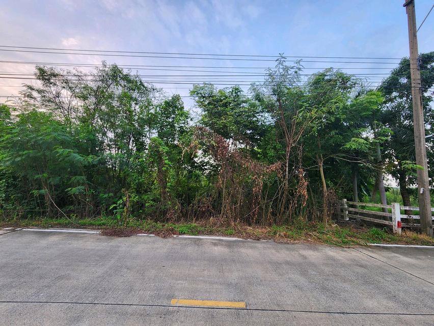 ขายที่ดิน รังสิต นครนายก คลอง7 แปลงสวย ขนาด1 ไร่เต็ม หนองเสือ- ซ.บึงบอน 10 ทำเลดีในราคาจับต้องได้ ✨ เพียง 1.5ล้านบาท 4