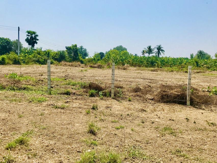 ที่ดิน จังหวัดอ่างทอง 3