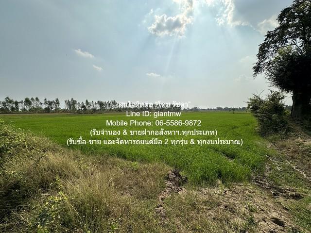 ขายที่ดินทุ่งนาข้าว ต.ระวิง อ.เมืองเพชรบูรณ์ จ.เพชรบูรณ์ 51-2-87 ไร่ ราคา 7.8 ล้านบาท