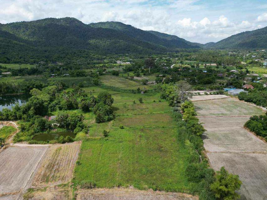 ที่ดินสวยวิวเขาหนองรี 1