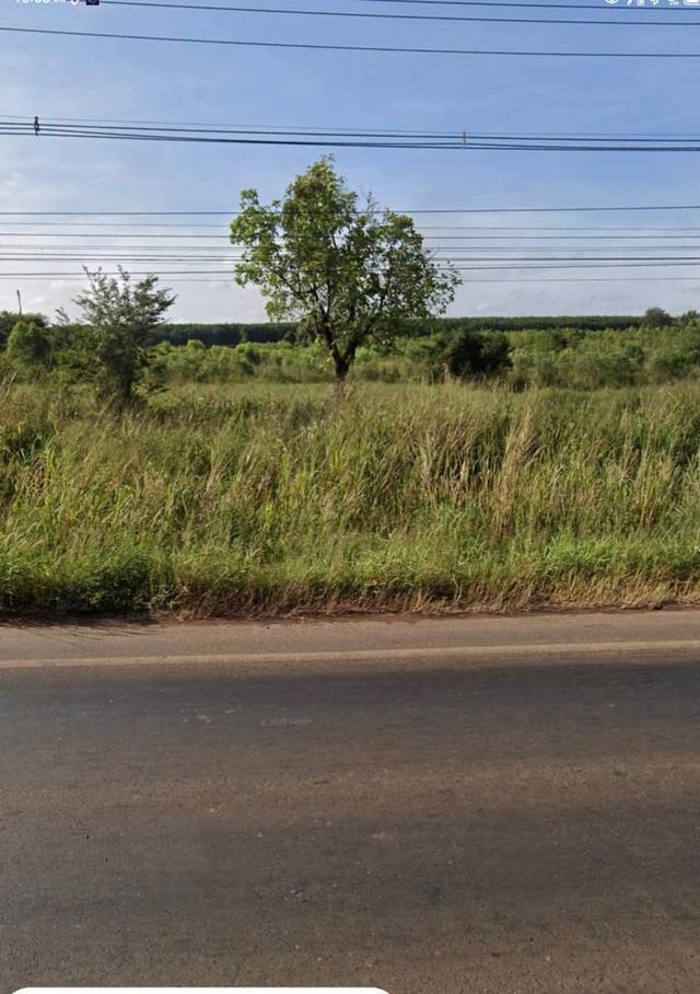 ขายที่ดินอำเภอเสิงสางจังหวัดนครราชสีมาติดถนนราชสีมาโชคชัย224 บ้านสระประทีป อำเภอเสิงสางอำเภอ จังหวัดนครราชสีมา ขนาดที่ดิน 30 ไร่ 2 งาน  3