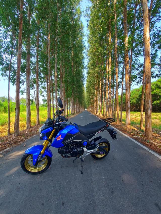 honda msx 2015 2