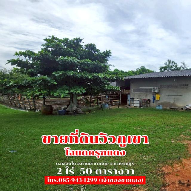 ขายที่ดิน 2 ไร่ 50 ตารางวา ติดถนนลาดยาง วิวภูเขา จ.กาญจนบุรี 1,500,000 4