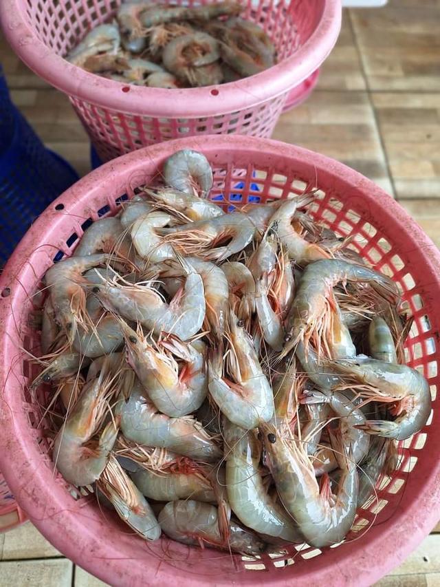 กุ้งแช่บ๊วย มีเนื้อละเอียด อร่อย 3