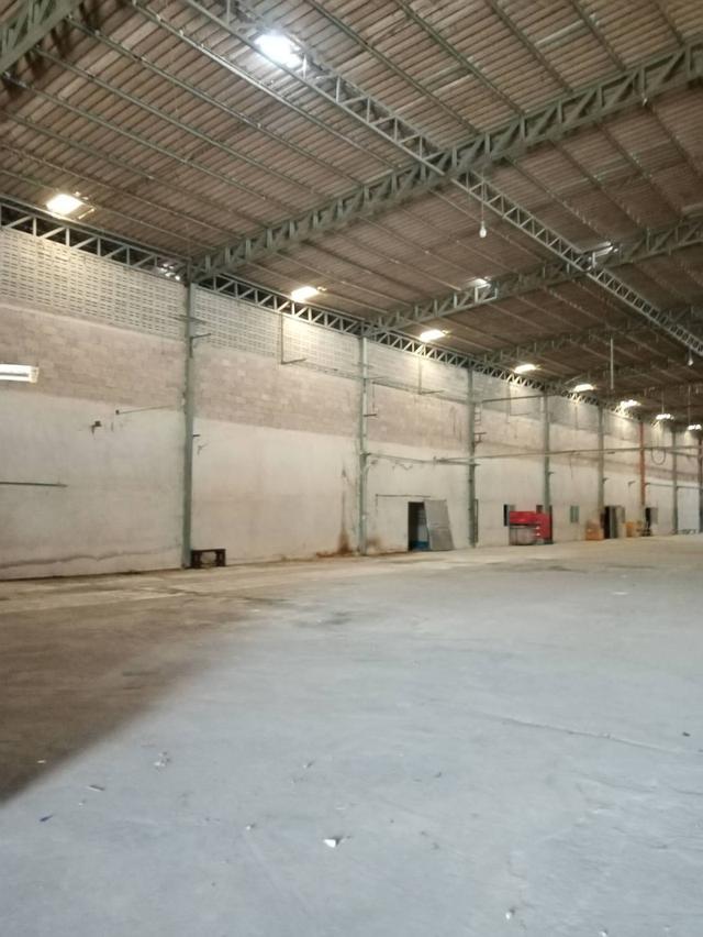 ขายด่วน โรงงาน 20 ไร่ อ.กระทุ่มแบน จ.สมุทรสาคร ราคาถูก ฮวงจุ้ยดี หันทิศดี 7