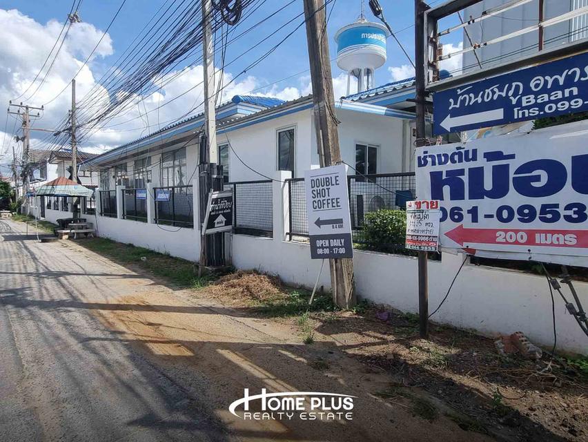 🌳 ขายที่ดิน 1 ไร่ 57.4 ตร.ว. ถนนบ้านไร่ หนองสาหร่าย ปากช่อง ใกล้วัดหนองสาหร่าย 7