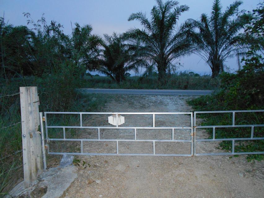 ขายที่ดิน 10 ไร่ พร้อมบ้าน ติดลำห้วย 3 สาย ต.บ้านบึง อ.บ้านคา จ.ราชบุรี 20