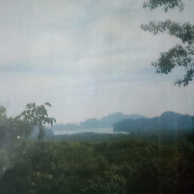 ที่ดิน บ้านคลองน้ำใส ต.คลองเคียน อ.ตะกั่วทุ่ง จ.พังงา 4