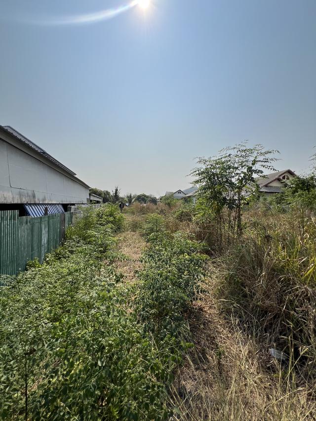 ที่ดินสวย ทำเลดี ติดถนนลาดยาง ราชบุรี 4