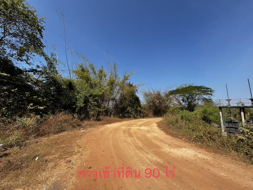 ขายที่ดินสำหรับทำการเกษตร ในเขตอำเภอเมือง ขอนแก่น 11