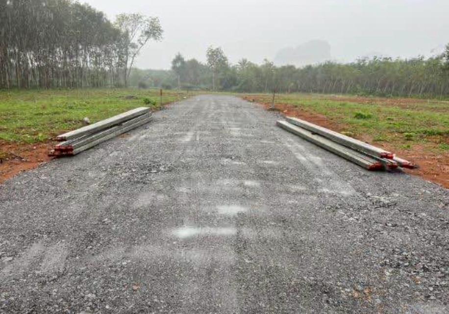 🏞️ ขายที่ดินแปลงสวย ราคาคุ้มค่า – เหลือเพียง 1 แปลงสุดท้าย!🥚ขนาด: 1 ไร่ 10 ตร.ว🏡ราคาเพียง 2,500,000 บาท 📍เอกสารสิทธิ์ โฉนดครุฑแดง 5