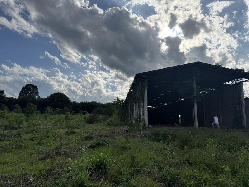 ขายที่ดินแปลงใหญ่อุดร100ไร่ 7