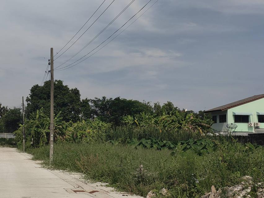 ขายที่ดิน 714 ตรว. ในซอยเฉลิมพระเกียรติ ร9 ซอย23 ใกล้สวนหลวงร.9 บรรยากาศดี เหมาะสร้างที่พักอาศัย 3