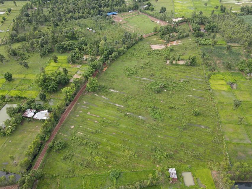 24ไร่ ไร่ละ 80,000-. ไฟฟ้าถึง.น้ำบาดาล ครุฑแดง ทางแดง. ที่สวน สวยมากครับ. อยู่ที่ สุมเส้า อ.เพ็ญ จ. อุดรธานี. โทรศัพท์0960507174 วิทย์ 7