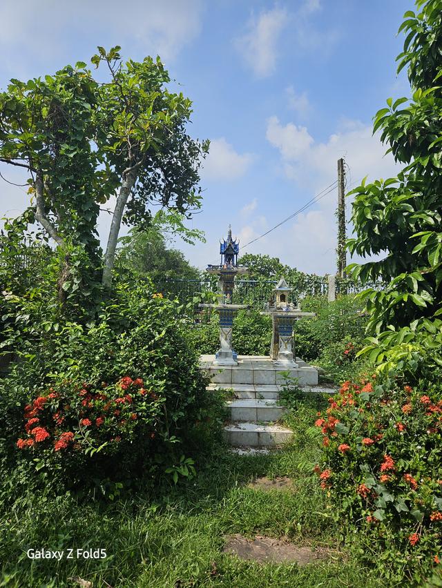 ที่ดินติดถนนสาย 33 ปราจีนบุรี 9