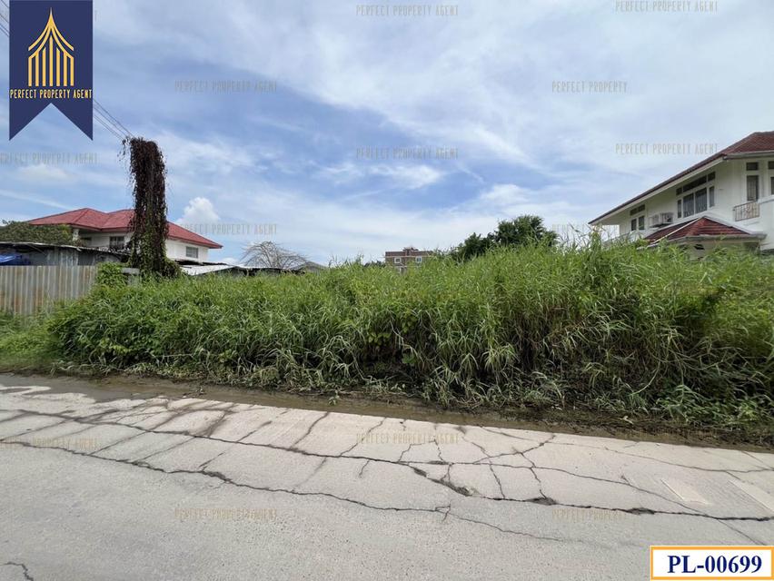 ขายที่ดิน ถมแล้ว5ปี 202 ตร.ว รามคำแหง 2 2