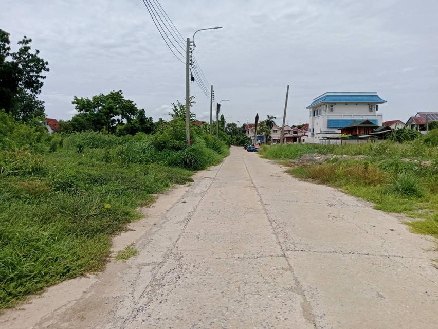 ขายที่ดินถมสูงและเป็นจัดสรร72.4วาหมู่บ้านลานทองปากเกร็ด หมู่บ้านดีมากน่าอยู่ที่สุด(หายาก)ลานทองซอย 36/1 ฝั่งถ.เมนซอย18ม.ที่ดีมากในปากเกร็ดและนนทบุรี 12