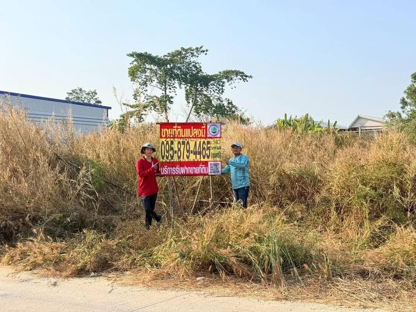 ขายด่วน!! ที่ดิน 200 ตารางวา) ( ถนน 340 ชอยปิ่นทองแองแลนด์ ไทรน้อย นนทบุรี 1