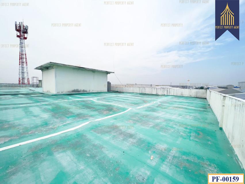 ขายพร้อมผู้เช่า โรงงานนิคมอุตสาหกรรมบางพลี สมุทรปราการ บางเสาธง เทพารักษ์ 19