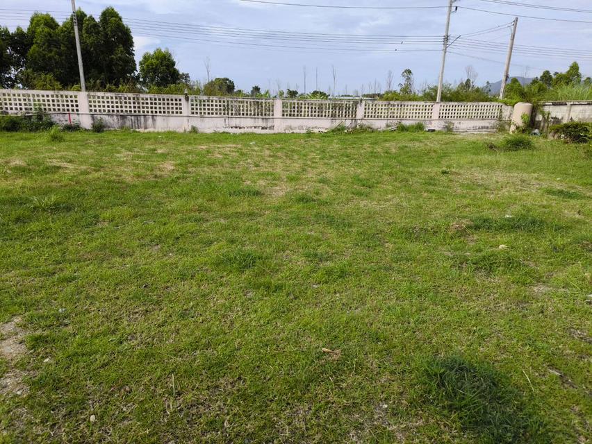 ที่ดินสี่เหลี่ยมสวยงามถมแล้วบรรยากาศเยี่ยม สาธารณูปโภคพร้อม ปลูกบ้านได้ทันที 1