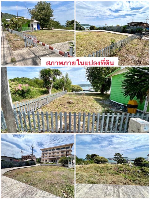 ขาย ที่ดินติดทะเล ใจกลางชุมชนหน้าเกาะสีชัง อ.เกาะสีชัง จ.ชลบุรี 7