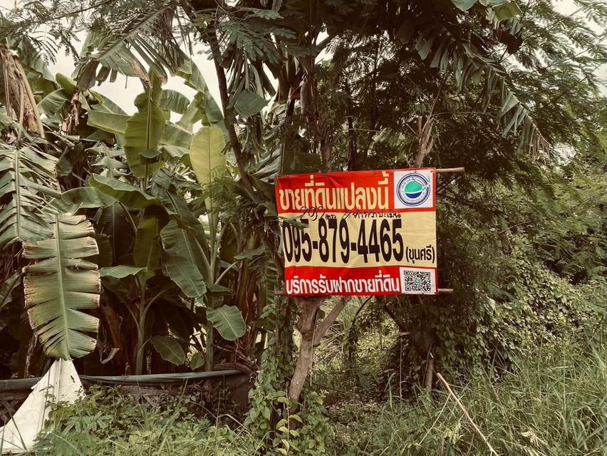 ขายถูกต่ำกว่าประเมิน 292 ตรว ติดถนนสาธารณะ คลอง 13 ฝั่งตะวันตก หนองจอก กทม. 12