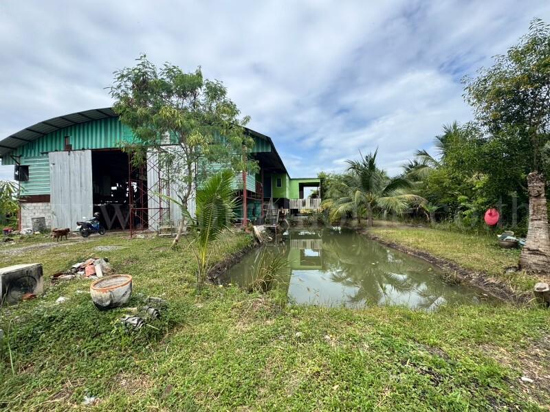 ที่ดินเปล่า 2 ไร่ รังสิต - นครนายก คลอง 10 หนองเสือ ปทุมธานี 4