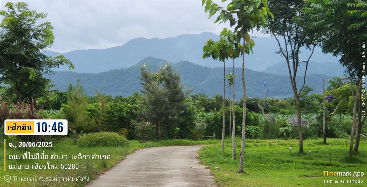 ที่ดินวิวภูเขา 360 ํ 6