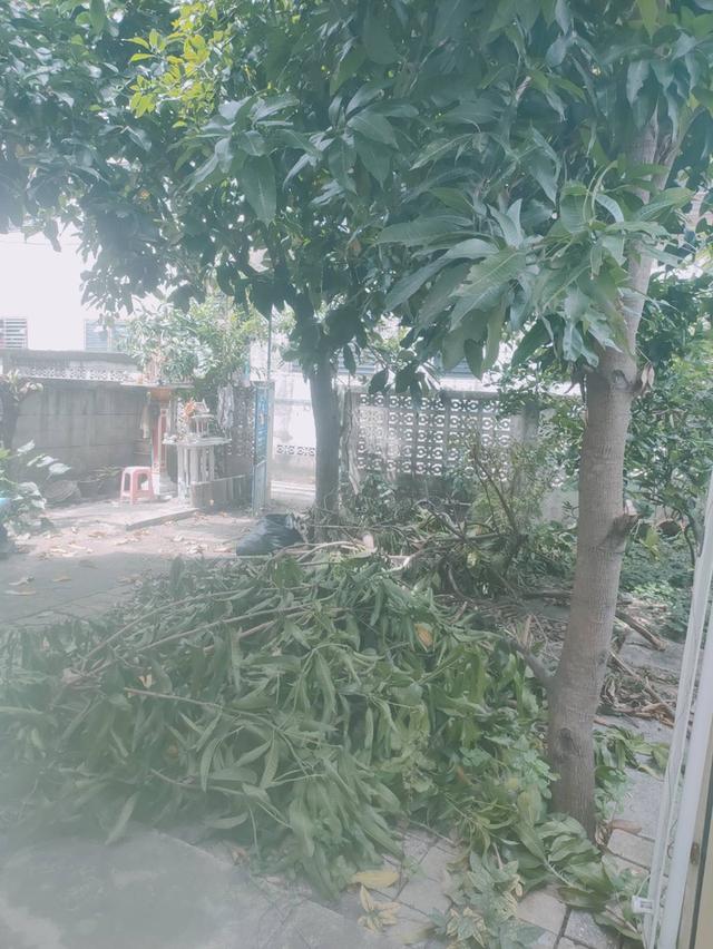 บ้านพร้อมที่ดินเจ้าของขายเองบ้านน่าอยู่ประวัติดี 5