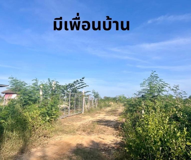 ที่ดิน กุยบุรี ประจวบคีรีขันธ์ ขนาด 1 ไร่ 1 งาน 289,000 บาท 7