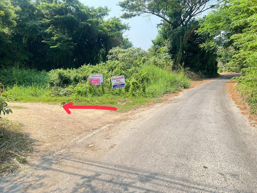 บ้านเดี่ยว 2 ชั้น 42 ตร.ว. ครึ่งปูนครึ่งไม้สัก สภาพดี จ.สิงห์บุรี 6