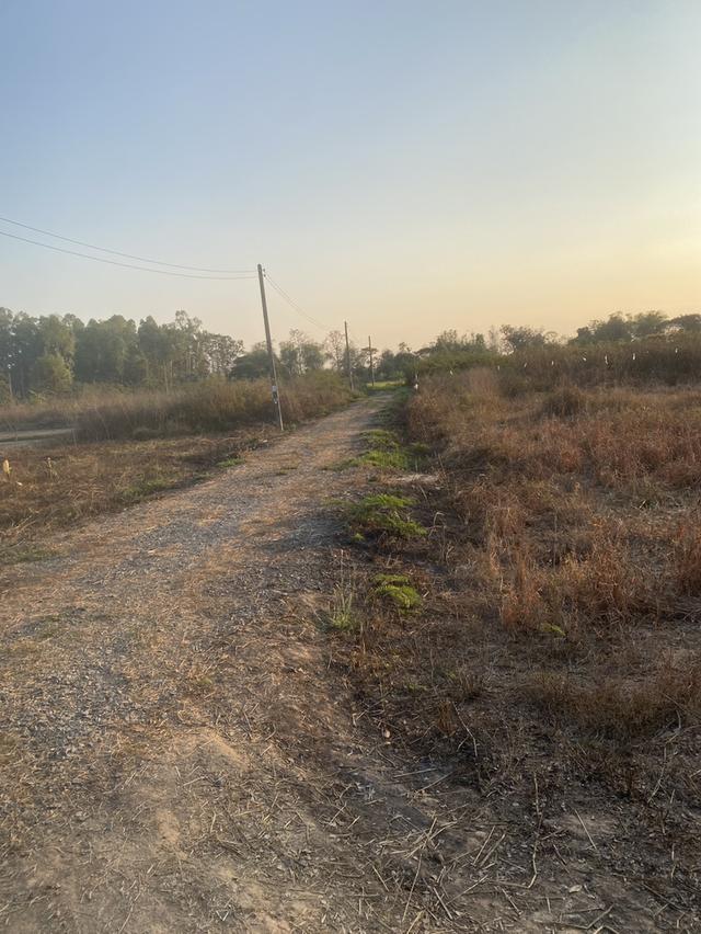 ขายที่ดิน 330 ตารางวา บ้านหม้อ ต.ห้วยทราย อ.สันกําแพง รูปที่ 9