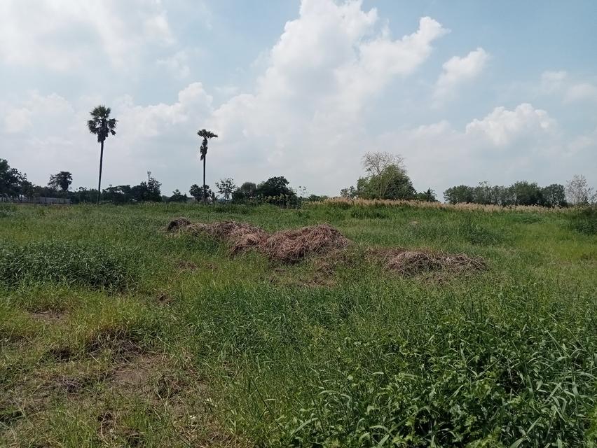 ขายที่ดิน สามโคก หลังที่ว่าการอำเภอสามโคก 10