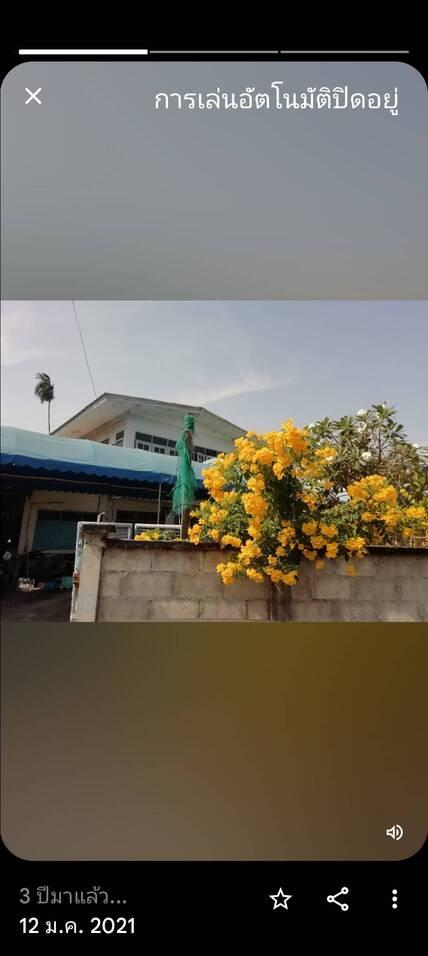 ขายบ้านเดี่ยว 2 ชั้น เนื้อที่ 200 ตารางวา 4 ห้องนอน 3 ห้องน้ำ มีห้องครัว 2